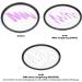 B+W 46mm Master UV Haze MRC Nano 010M Glass Filter - High-Quality UV Protection - Buy Online on GoSupps.com