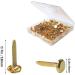 100 Pcs Brass Paper Fasteners  8x17mm Plated Mini Brads for Scrapbooking Crafts DIY Projects (Gold) - Buy Online on GoSupps.com