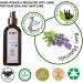 ICAN LONDON 100% PURE & NATURAL LAVENDER OIL FOR HAIR SKIN AND NAILS 150ML - Buy Online on GoSupps.com