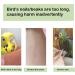 Bird Wooden Ladder Toy for Climbing and Chewing - Pet Parrots Cage Accessories and Play Platform - Buy Online on GoSupps.com