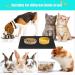 TORASO 2 Pack Silicone Waterproof Pet Feeding Mats (18x12) - Non Slip, Easy Clean, Prevents Food and Water Overflow - Dog & Cat Placemat - Black (2 pcs) - Buy Online on GoSupps.com