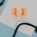 IDEANATEGRATE 1 Pair Ear Acupuncture Point Teaching Model - Silicone Fake Ear for Massage Assistance - Realistic Display Decor for Jewelry Piercing Practice - Buy Online on GoSupps.com