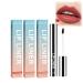CESGIGO Removable Lip Liner, Plump Lip Lines, Waterproof and Removable Lip Liner, Long-lasting Lip Liner that Does Not Lose Lip Makeup (3pcs Muticolor)