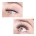 LASHVIEW 3D Faux Eyelashes - Natural Look Wispies, Soft & Reusable | 5 Pair Pack - Buy Online on GoSupps.com