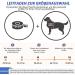 Eyin Life Jacket for Medium Dogs - Adjustable Swim Vest with Strong Buoyancy & Reflective Handle - Lightweight Swimming Aid (Orange M) - Buy Online on GoSupps.com