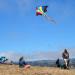 Mint's Colorful Life Delta Kite - Easy-to-Fly Rainbow Design for Kids & Adults - Buy Online on GoSupps.com