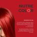 Nirvel NUTRE COLOR Garnet red 200 mL professional mask - temporary coloring - nutrition and brightness - Buy Online on GoSupps.com