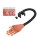 Flexible Nail Training Hand with 300 Refillable Tips - DIY Manicure Practice Kit - Buy Online on GoSupps.com