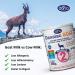 Danalac Step 2 Goat Milk Follow-up Formula Powder for 6-12 Months Babies 400g 1 Unit - Buy Online on GoSupps.com