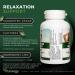 Vitanergy L-Theanine Mental Focus & Calmness - Promote Stress Anxiety Relief Relaxation and Sleep Aid - 100mg Chewable Tablets 60ct Tropical Flavor- Made in Canada - Buy Online on GoSupps.com