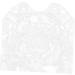 SEWOART Vegetable Shaped Fruitful Vegetable Shaping Transparent Shaping Shaper Melon Cucumber - Buy Online on GoSupps.com