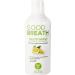 Goodbreath Labs Mouthwash | New Ozone Technology Specialized in Chronic Halitosis | Mouth Rinse Alcohol Free | Bad Breath Neutralizer | Lemon-Mint Flavor Oral Rinse for Gum Disease ((1 Pack) 16 oz) 16 Fl Oz (Pack of 1)