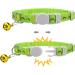Tagme Personalized Cat Neck Band - Adjustable Safety Collar with Name & Phone - 2-Pack Green (18-28 cm) - Buy Online on GoSupps.com