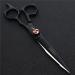 Hair Cutting Scissors Shears 6 Inch Barber Shop Personality Hairdressing Scissors Barber Scissors Barber Special Hair Cutting Scissors Set - Buy Online on GoSupps.com