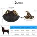Halloween Pet Costume | Jofony Cloak & Hat Set for Dogs & Cats | Perfect for Small & Medium Pets - Buy Online on GoSupps.com