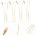 FRCOLOR 5sets Ear Wax Removal Tools for Teens and Adults Bamboo Ear Cleaning Kit for Travel and Home Use - Buy Online on GoSupps.com