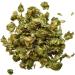  France Herboristerie France Herboristerie Herbal Tea Hops Cone - Buy Online on GoSupps.com