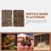 ULTECHNOVO 3Pcs Cork Bark Terrarium Background Set | Reptile Climbing Wall Decor for Turtle, Gecko, Lizard | Habitat Accessories for Terrariums - Buy Online on GoSupps.com