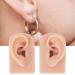 Flexible Reusable Silicone Ear Model (Middle Skin Color) - 1 Pair for Teachers and Salons - Buy Online on GoSupps.com