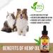 MOBDOG Hemp Oil for Dogs UK 350 000mg- Dog Calming Product with Omega 3 6 9 Pure Bliss in Every Drop -Promoting Comfort Joint Health & Digestion - Buy Online on GoSupps.com