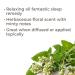 Plant Therapy Catnip Essential Oil 100% Pure & Natural - Therapeutic Grade Aromatherapy (10 mL) - International Shipping Available - Buy Online on GoSupps.com