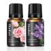 Rose and Lavender Essential Oil Pure Organic Rose Lavender Oil for Diffuser Massage Soap Aromatherapy Bath Skin Care - 2 x 10ml (Rose+Lavender)