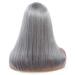 Real Hair Lace Front Wig - 18 Gray Heat-Resistant Synthetic Wig for Women | 150% Density Medium Length Long Smooth Hair - Buy Online on GoSupps.com