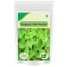 1Pack Karpooravalli - Omavalli Leaves - 3.52Ounce / 100gm - Indian Borage - Buy Online on GoSupps.com