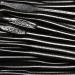 Bassetti Liquorice sticks x 10
