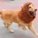CPPSLEE Lion Mane Dog Costume - Realistic Lion Wig for Medium to Large Dogs - Buy Online on GoSupps.com