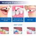 RMFC 2PCS Tartar Remover Tooth Stain Eraser Teeth Polishing/ Cleaning Kit Removes Plaque & Impurities (White & Blue) - Buy Online on GoSupps.com