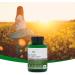 NaturesPlus BioAdvanced Liver Support - Liver Health Supplement with Turmeric, Artichoke, Milk Thistle, Dandelion, Choline, and Methyl Bs - 60 Vegan Capsules | Gluten, Dairy, and SOYA Free - Buy Online on GoSupps.com