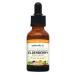 Eclectic Institute Elderberry 500 mg 2 fl oz ( 60 ml)
