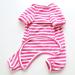 Classic Striped Pajamas for Dogs & Cats - Bt Bear Fat - Soft Cotton Costume for Pugs French Bulldogs & Small Breeds - Medium Hot Pink - Buy Online on GoSupps.com