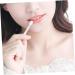 Didiseaon 2 Sets Lip Stick Dust Cover Silicone Scrubber for Silicone Lip Covers Applicator Brush Lip Scrub Brush Lip Masks Silicone Makeup Brush Lip Brush Makeup Tools Miss Girl - Buy Online on GoSupps.com