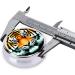 Little Fat Tiger Round Pill Box Organizer - 3 Compartment Travel Pill Box for Easy Medication Storage - Buy Online on GoSupps.com