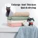 Valink Fast-Drying Microfiber Towel for Small & Medium Dogs & Cats - Extra Absorbent Pet Bath Towel in Green - Buy Online on GoSupps.com