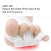 Bunion Corrector & Toe Separator for Hallux Valgus Relief - Non-Surgical Big Toe Straightener for Men & Women - Buy Online on GoSupps.com