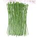 TEHAUX Flower Head Accessory Artificial Flower Stems Artificial Flower Heads 150 Pcs Artificial Rose Flower Faux Flower Stems Faux Floral Stems Artificial Flower Stem Greenx3pcs 33cmx3pcs - Buy Online on GoSupps.com
