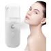 Mister Face Moisturizer - Mister Face Moisturizer Nano Mist Sprayer | Nano Atomization with 30ml Visual Water Reservoir Refillable Cool Face Spray Suitable for Skin Care - Buy Online on GoSupps.com