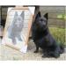 Blank Canvas for Diamond Painting DIY Resin & Crystal Drawing - Free Style Canvas Art Craft Gift - 35x35cm (3 Pcs Square) - Buy Online on GoSupps.com