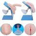 Internal & External Portable Genital Catheterization Simulation Model - Training Aid for Medical Professionals - Buy Online on GoSupps.com