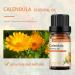Organic Calendula Essential Oil - 100% Pure Aromatherapy Oil - 0.33oz/10ml - Buy Online on GoSupps.com