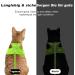 Buy Supet Cat Dishes & Harness Set - Fleeing Kitten Cat Vest Universal Leash & Dishes for Cats/Puppies (M) - Green - International Shipping Available - Buy Online on GoSupps.com