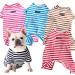 Shop Bt Bear Dog Clothing - Classic Striped Pajamas & Soft Cotton Overalls for Pugs French Bulldogs Cats & Small Dogs (XL Black) - Buy Online on GoSupps.com