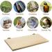 Wooden Parrot Bird Perch Platform for Budgie, Parakeet, Cockatiel, Conure, Chinchillas - Buy Online on GoSupps.com