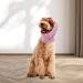 Ulobey Calming Dog Ears Cover - Pet Ear Flap Head Wrap for Noise Protection and Anxiety Relief - Pink, Suitable for Small, Medium, Large Dogs and Cats - Buy Online on GoSupps.com