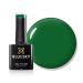 Bluesky Gel Nail Polish 10ml Blissful Knowledge - AW2306 Green Soak-Off Gel Polish for 21 Day Manicure Professional Salon & Home Use Requires Curing Under UV/LED Lamp