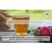 Artemisia (Sweet Annie/Qing Hao) Concentrated Herbal Extract - Twin Pack 525ml x 2 - in Glass Bottles - Buy Online on GoSupps.com