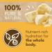 Cococare 100% Cocoa Butter Stick 1 oz - Pack of 10 | Natural Moisturizer for Skin Care | Buy Internationally - Buy Online on GoSupps.com